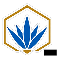 Campo Azul Mexican Kitchen logo